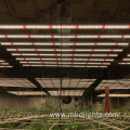 1000 W Plant Led Grow Light Panel